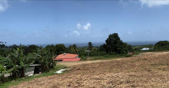 photo For sale Land BASSE-POINTE 972