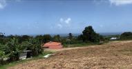For sale Land Basse-pointe  97218 1952 m2