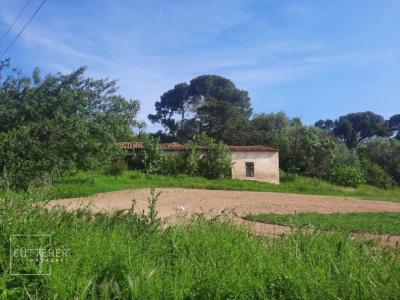 Vente Maison MOUSSAN 11120