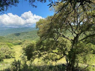 Vente Maison PETRETO-BICCHISANO 