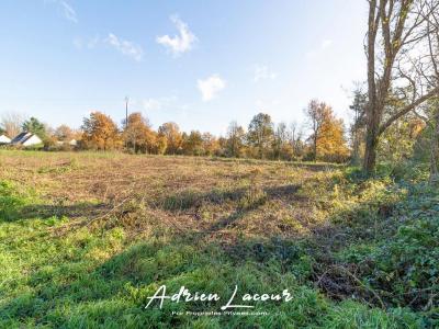 For sale Land PRUNIERS-EN-SOLOGNE  41