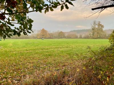 photo For sale Land MANNEVILLE-LA-PIPARD 14