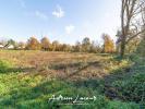 Acheter Terrain Pruniers-en-sologne 32990 euros