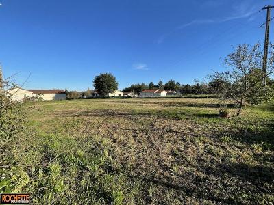 For sale Land NERVIEUX  42