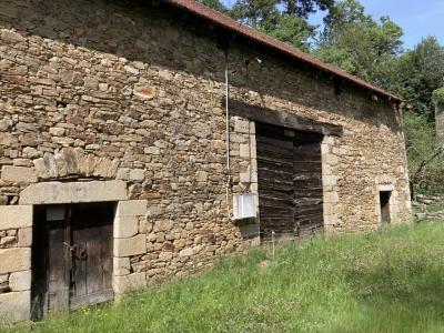 Vente Terrain CHATEAUNEUF-LA-FORET 87130