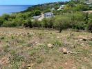 Acheter Terrain Vieux-habitants Guadeloupe