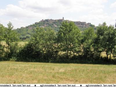 Vente Terrain CORDES-SUR-CIEL  81