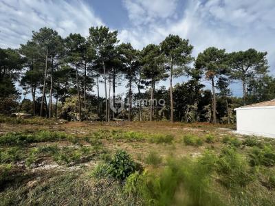 Vente Terrain MARTIGNAS-SUR-JALLE  33