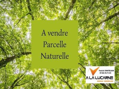 Vente Terrain PEAULE 56130