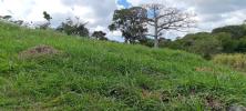 Acheter Terrain Petit-canal Guadeloupe