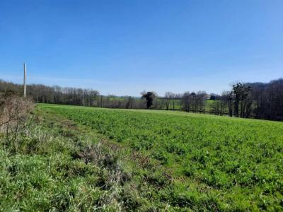 For sale Land MEZIERES-SOUS-LAVARDIN  72