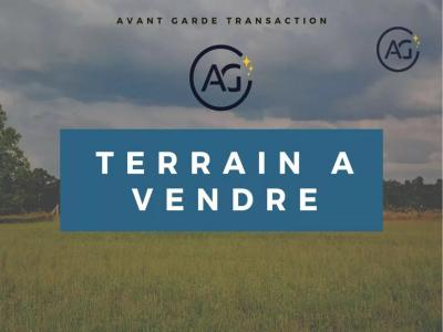 Vente Terrain FRONTON  31