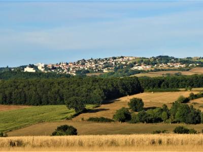 photo For sale Land SAINT-HEAND 42