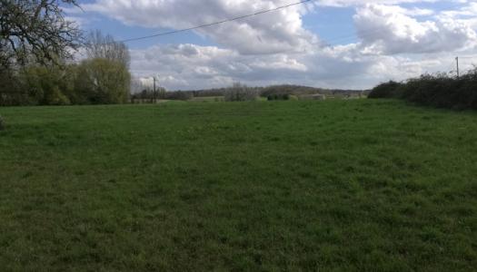 For sale Land MATIGNON  22