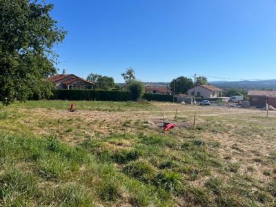 photo For sale Land NERVIEUX 42