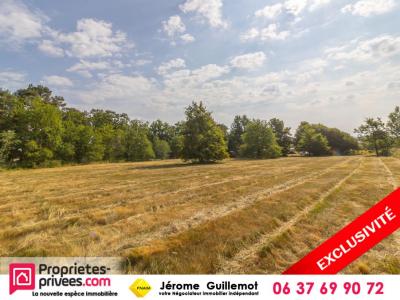 photo For sale Land FERTE-IMBAULT 41