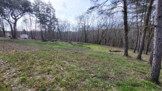 photo For sale Land QUEYSSAC 24