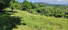 For sale Land Lamentin  97232 4459 m2