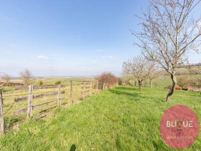 photo For sale Land BELLEAU 54