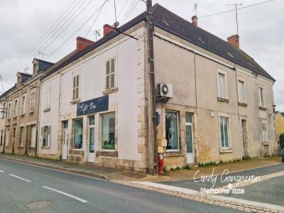 Vente Immeuble VILLEDIEU-SUR-INDRE 36320