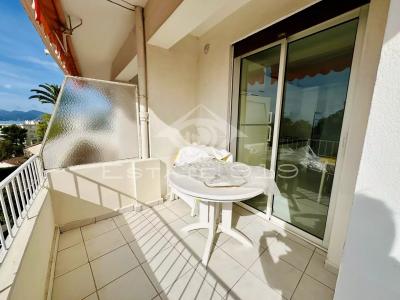 Location Appartement CANNES 