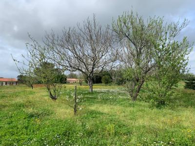 photo For sale Land SAINT-GEORGES-DES-AGOUTS 17