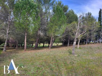 Vente Terrain LIMOUX 11300