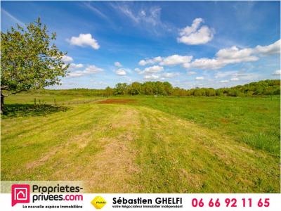 Vente Terrain CHEMERY LE-CONTROIS-EN-SOLOGNE 41