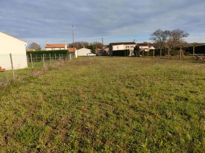 Vente Terrain SAINT-SAVINIEN 17350