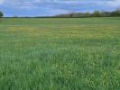 For sale Land Laize  71870 1130 m2