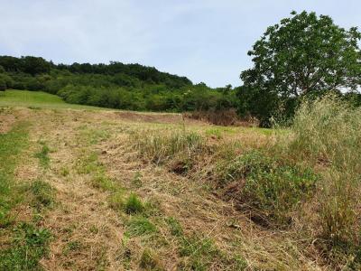 For sale Land CASTELNAU-D'ESTRETEFONDS  31