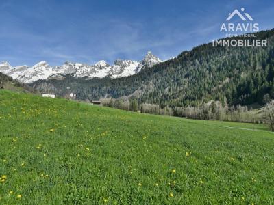 Vente Terrain GRAND-BORNAND 74450