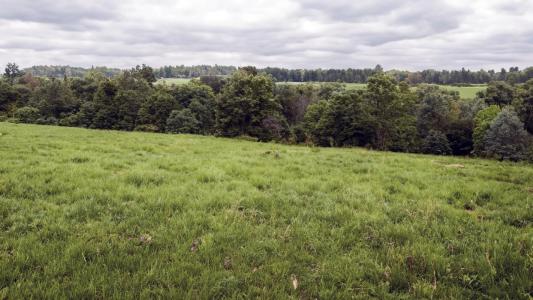 photo For sale Land GUEUX 51