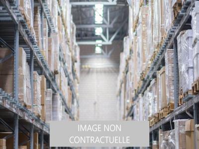 photo For sale Commerce CHAIZE-LE-VICOMTE 85