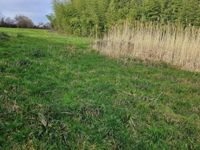 For sale Land MONTREVEL-EN-BRESSE  01