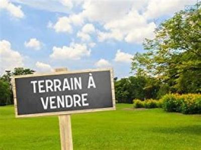 For sale Land FAOU  29