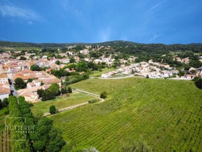 For sale Land BIZANET  11