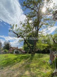 For sale House LAMOTTE-BEUVRON 