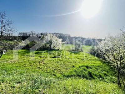 photo For sale Land SALIES 81