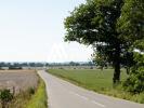 For sale Land Hornaing  59171 1225 m2
