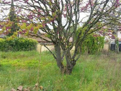 photo For sale Land REYRIEUX 01