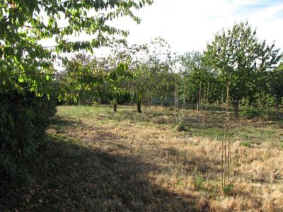 Vente Terrain ANCHE VALENCE-EN-POITOU 86