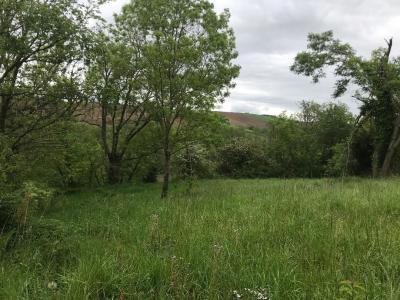 photo For sale Land CAIGNAC 31