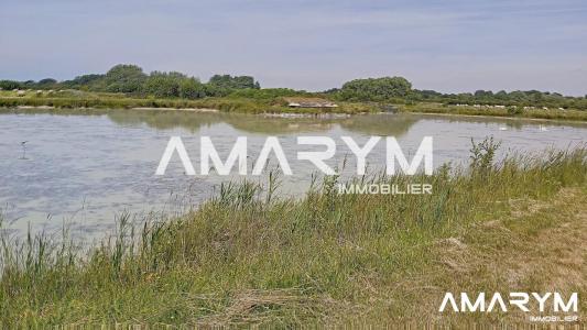 Vente Terrain CAYEUX-SUR-MER 80410