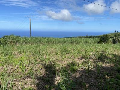 For sale Land SAINT-JOSEPH  974