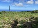 For sale Land Saint-joseph  97480 1103 m2