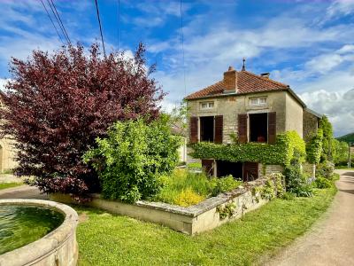 photo For sale House URCY 21