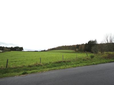 photo For sale Land BESSONS 48