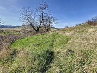 photo For sale Land PERRIER 63