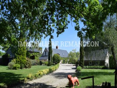 For sale Prestigious house AUBIGNY-SUR-NERE  18